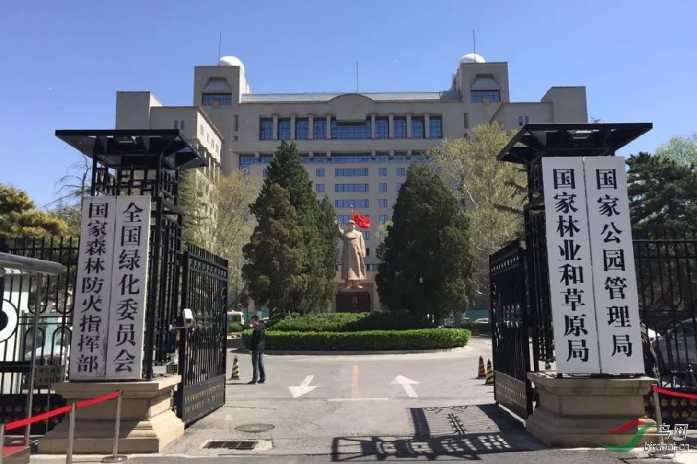 国家林业和草原局：将办理融入业务工作 打通转化“最后一公里”