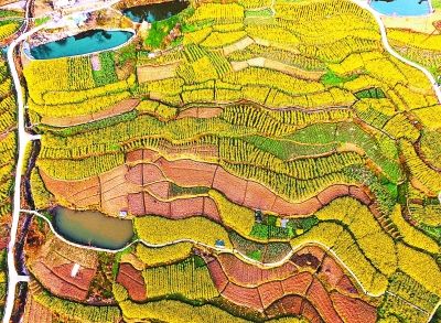 绿色发展 中国更美丽